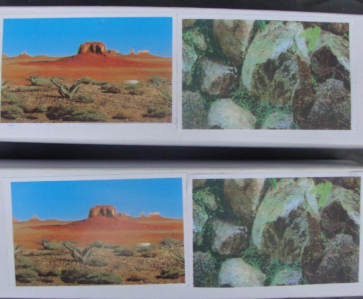 terrarium achtergrond decoratie / dubbelzijdig € 1,00 per m, Dieren en Toebehoren, Reptielen en Amfibieën | Toebehoren, Nieuw