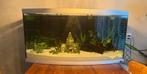 Groot aquarium met benodigdheden, Ophalen, Gebruikt, Leeg aquarium