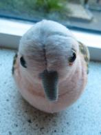 Wild Republic knuffel vogel Tortelduif, Kinderen en Baby's, Ophalen of Verzenden, Zo goed als nieuw, Overige typen