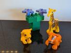 Duplo Dieren Set - Leeuw, Tijger & Giraffe, Overige generaties, Ophalen of Verzenden, Zo goed als nieuw, Overige rassen
