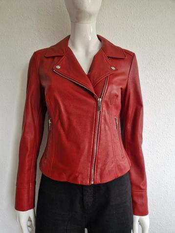 Studio AR bikerjack Kendall. Maat 38, Rood/leer. beschikbaar voor biedingen