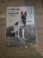 Vintage QSL Kaart - Duitse Herder Hond, Verzenden, Gebruikt, Dier of Natuur, Speldje of Pin