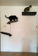 Katten klim op hoogte tot plafon, Ophalen of Verzenden