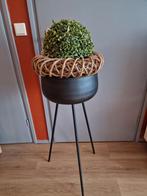 Nette zwarte bloemstander van metaal, Huis en Inrichting, Woonaccessoires | Zuilen en Pilaren, Ophalen, Zo goed als nieuw