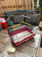 Vogel kooi, Ophalen, Zo goed als nieuw, Metaal, Vogelkooi