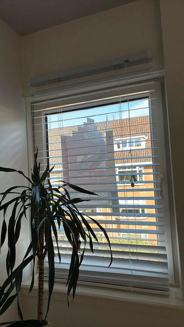 Bamboe houten jaloezien wit 80x160 beschikbaar voor biedingen