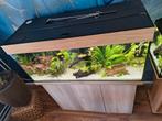 Juwel 180 LED Compleet, Ophalen, Zo goed als nieuw, Gevuld zoetwateraquarium