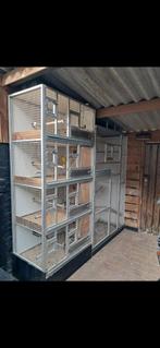 Broedkooien (blok van 4) + volierepanelen, Ophalen, Gebruikt, Aluminium, Broedkooi of Kweekkooi