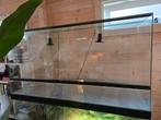 Groot terrarium 120x50x60 als nieuw, Ophalen, Zo goed als nieuw