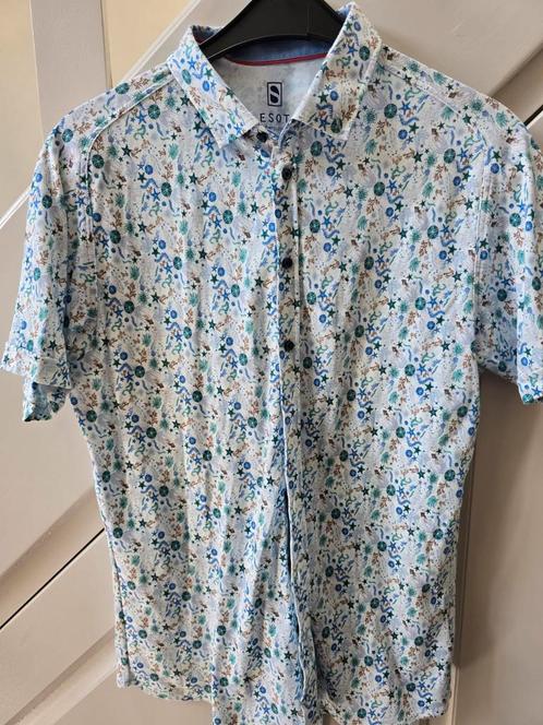 Desoto heren blouses Maat L. Fijne zachte stof, Kleding | Heren, Overhemden, Zo goed als nieuw, Halswijdte 41/42 (L), Ophalen of Verzenden