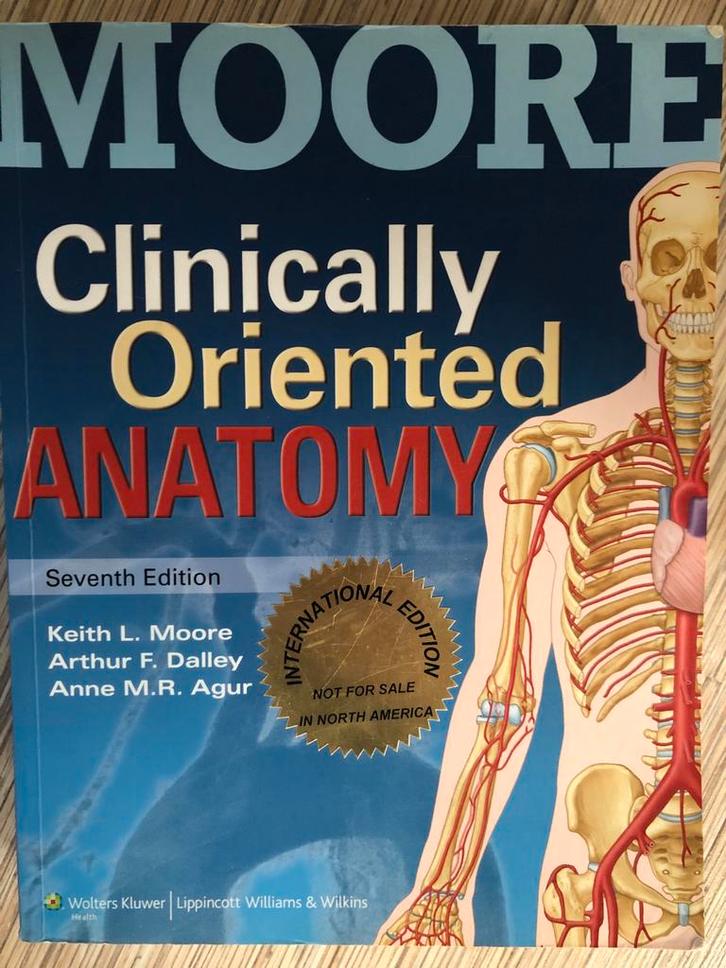 Moore's Anatomie 7e editie, Boeken, Studieboeken en Cursussen, Zo goed als nieuw, HBO, Beta, Ophalen of Verzenden