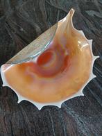Oester handgeblazen glas, Antiek en Kunst, Ophalen of Verzenden