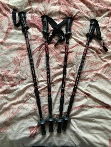 NU €30,00 - 2 Sets Nordic Walking Stokken (LONGDA - Tengyun) beschikbaar voor biedingen