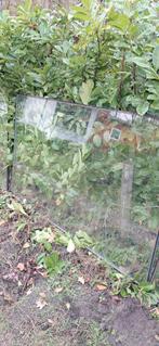 Gratis af te halen: Diverse raamkozijnen in Huijbergen, Doe-het-zelf en Verbouw, Ophalen, Gevelraam of Ruit, Gebruikt, Minder dan 80 cm