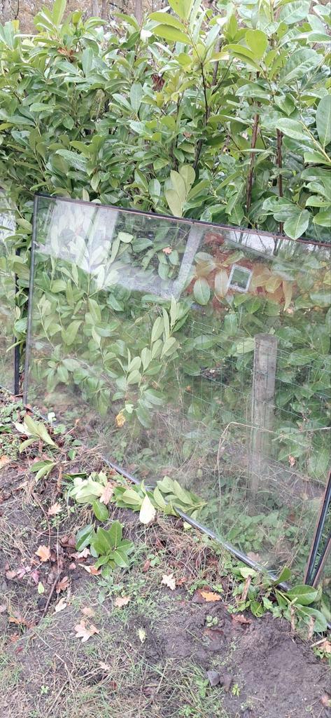 Gratis af te halen: Diverse raamkozijnen in Huijbergen, Doe-het-zelf en Verbouw, Glas en Ramen, Gebruikt, Gevelraam of Ruit, Minder dan 80 cm