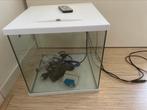 Aquarium met toebehoren, Ophalen, Zo goed als nieuw, Leeg aquarium