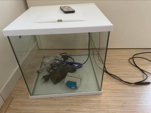 Aquarium met toebehoren, Dieren en Toebehoren, Vissen | Aquaria en Toebehoren, Zo goed als nieuw, Leeg aquarium, Ophalen