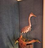 Opgezette reiger, Ophalen, Zo goed als nieuw