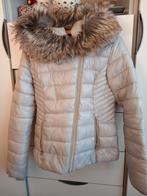 Damesjas Coolcat M, Kleding | Dames, Jassen | Winter, Ophalen of Verzenden, Zo goed als nieuw