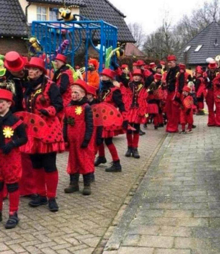 Grote loopgroep thema lieveheersbeestjes carnaval, Kleding | Dames, Carnavalskleding en Feestkleding, Zo goed als nieuw, Carnaval