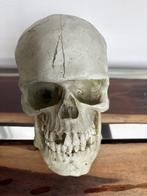 Doodshoofd - Skull - Doodskop, Ophalen of Verzenden, Zo goed als nieuw, Fantasy