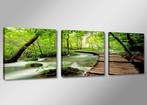 Nieuw * 3 Luik van Canvas * Natuur 50x150cm, Antiek en Kunst, Kunst | Schilderijen | Klassiek, Ophalen of Verzenden