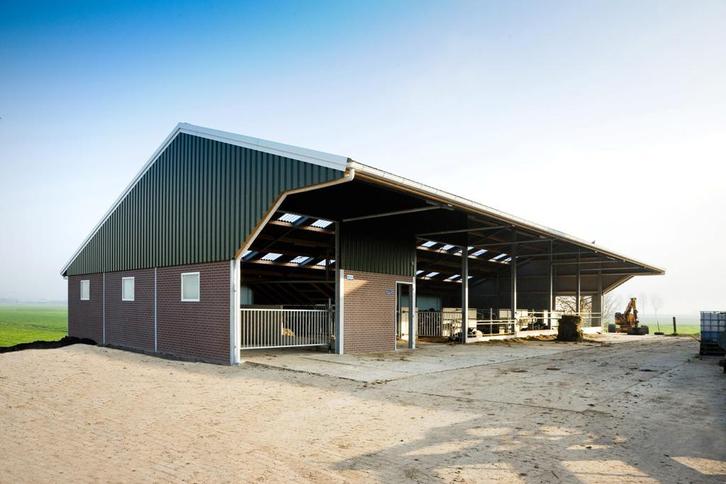 GEZOCHT stal, potstal, schuur of kapschuur, Dieren en Toebehoren, Runderen, Meerdere dieren