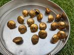 Uniform knopen, Verzamelen, Militaria | Tweede Wereldoorlog, Ophalen of Verzenden, Overige soorten, Overige gebieden, Kleding of Schoenen