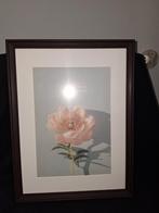 Grote Foto Lijst, Ophalen, Hout, Minder dan 50 cm, Minder dan 50 cm