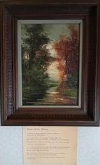 Klein olieverf schilderij op doek met bosgezicht/bospad, Minder dan 50 cm, Gebruikt, Ophalen of Verzenden, Schilderij