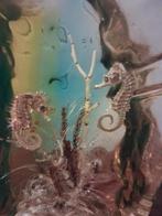 Vintage stuk lucite, Huis en Inrichting, Ophalen of Verzenden, ., ., .