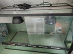 Terrarium, Dieren en Toebehoren, Reptielen en Amfibieën | Toebehoren, Ophalen, Zo goed als nieuw