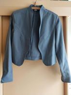 grijs jasje, Maat 42/44 (L), Ophalen of Verzenden, Zo goed als nieuw, Jasje