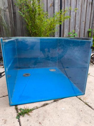 Aquarium voor kweekstelling beschikbaar voor biedingen