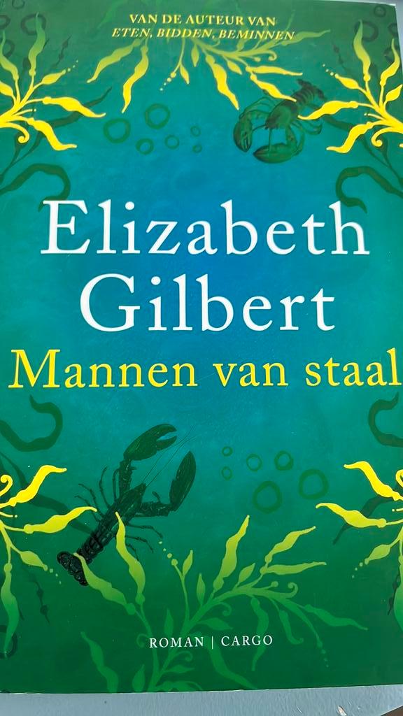 Elizabeth Gilbert - Mannen van staal, Boeken, Literatuur, Zo goed als nieuw, Ophalen of Verzenden