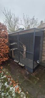 Kattenren katten verblijf, Ophalen