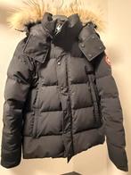Canada Goose Wyndham - Limited Edition, Kleding | Heren, Jassen | Winter, Ophalen of Verzenden, Zo goed als nieuw, Overige maten