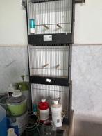 Oude vogelkooitjes, Antiek en Kunst, Ophalen