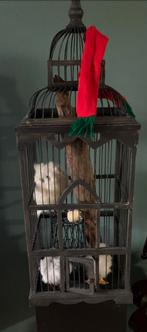 Decoratieve Vogelkooi, Ophalen of Verzenden, Gebruikt