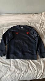 Feyenoord sweater grijs maat 158, Maat XS of kleiner, Ophalen of Verzenden, Shirt