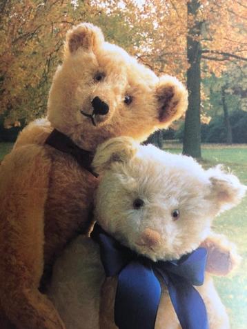 Boek, Teddy een kleurig berenleven  beschikbaar voor biedingen