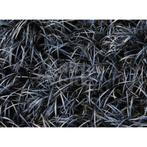 Ophiopogon planiscapus 'Niger', Tuin en Terras, Planten | Tuinplanten, Ophalen, Vaste plant, Siergrassen, Halfschaduw