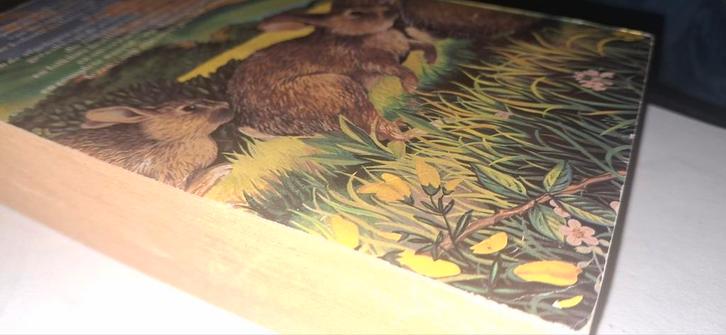 Waterschapsheuvel - Richard Adams, Boeken, Romans, Gelezen, Nederland, Ophalen of Verzenden