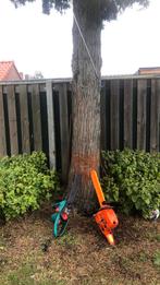 Bomen kappen, Tuin en Terras, Ophalen of Verzenden