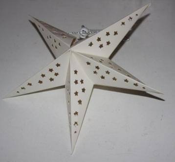  	 kerstster karton 30 cm 119876/7 beschikbaar voor biedingen