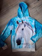 Paardenpraat tv, Dieren en Toebehoren, Ophalen, Zo goed als nieuw, Bovenkleding