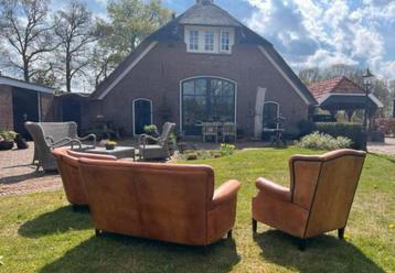 Schapenleren Fauteuils - Vintage Stijl Set Stoelen en Banken beschikbaar voor biedingen