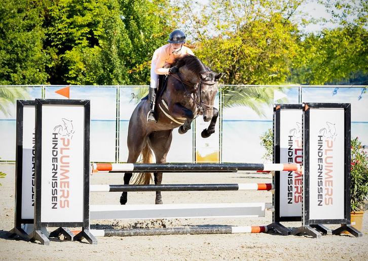 1 plekje vrij voor zadelmak maken, Dieren en Toebehoren, Paarden en Pony's | Dekens en Dekjes, Nieuw, Ophalen of Verzenden