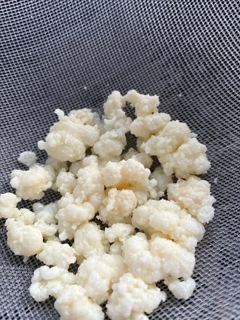 kefir roosjes, Ophalen, Nieuw, Onbekend, Onbekend