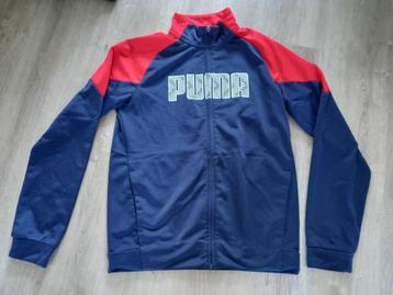 Blauw rood en wit Puma vest maat 164 beschikbaar voor biedingen